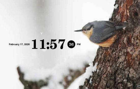 Molecular Clock 4 for XWidget