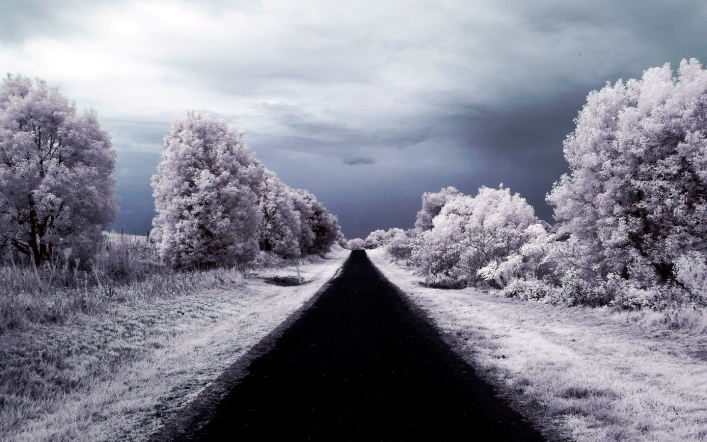 Winter Road