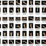 Female Hand Poses Pack