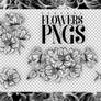 Flowers (PNG'S)