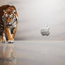 Tiger OS X