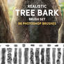 Realistic Tree bark brush set