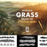 Marram Grass brush set