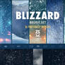 Blizzard brush set