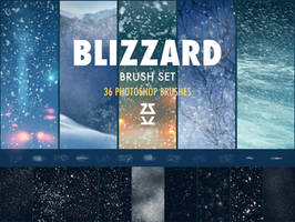 Blizzard brush set