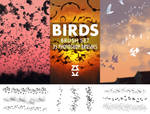Birds Brush Set by ZsoltKosa