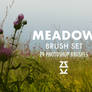 Meadow Brush Set