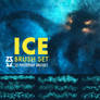 Ice Brush Set