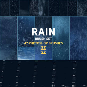Rain Brush Set by Zsolt Kosa