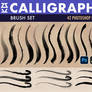 Calligraphy Brush Set