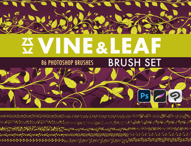 Vine and Leaf Brush Set | Photoshop | Procreate | 