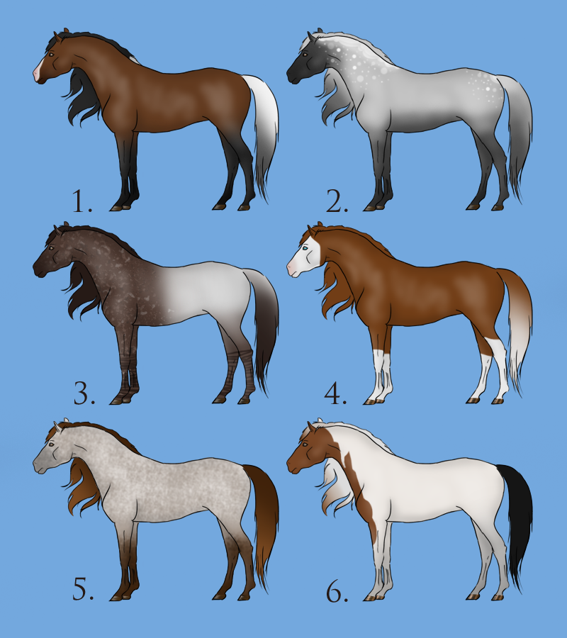 Horse Adoptables Set - One Left