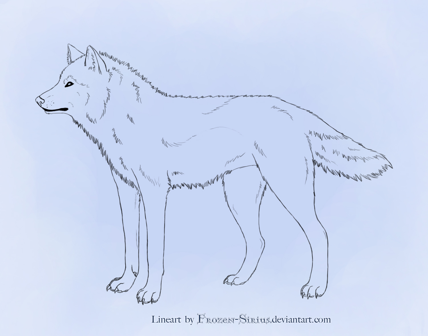 Free Realistic Wolf Lineart_PSD