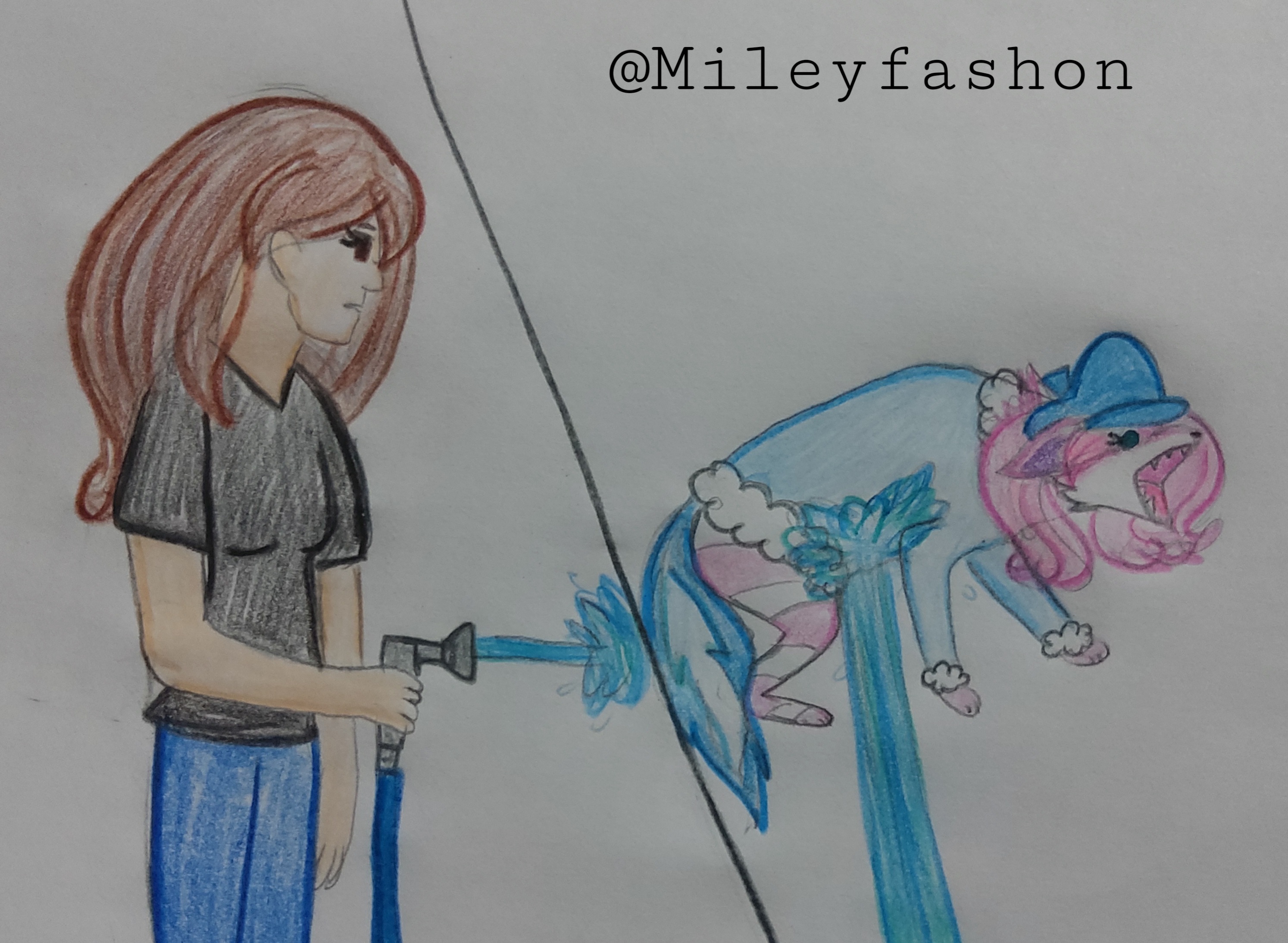 That Wikihow Meme by Mileyfashon on DeviantArt