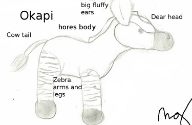 Okapi