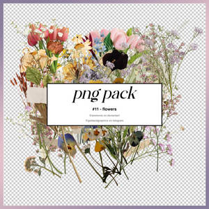 png pack #11  | by @ammonis