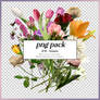 png pack #16 | @ammonis