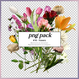 png pack #16 | @ammonis