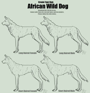 Create Your Own African Dog