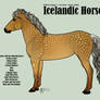 Make Your Own Icelandic Horse