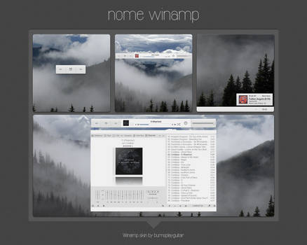 Nome Winamp