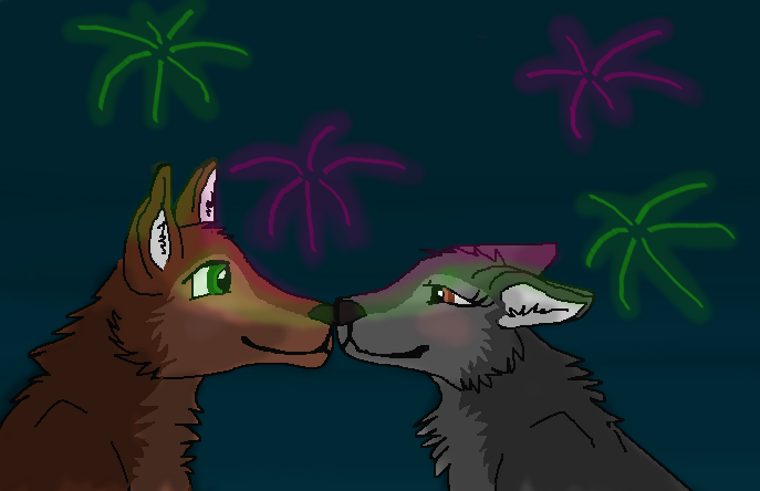 Enjoying Fireworks