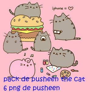 Pack De Pusheen The Cat