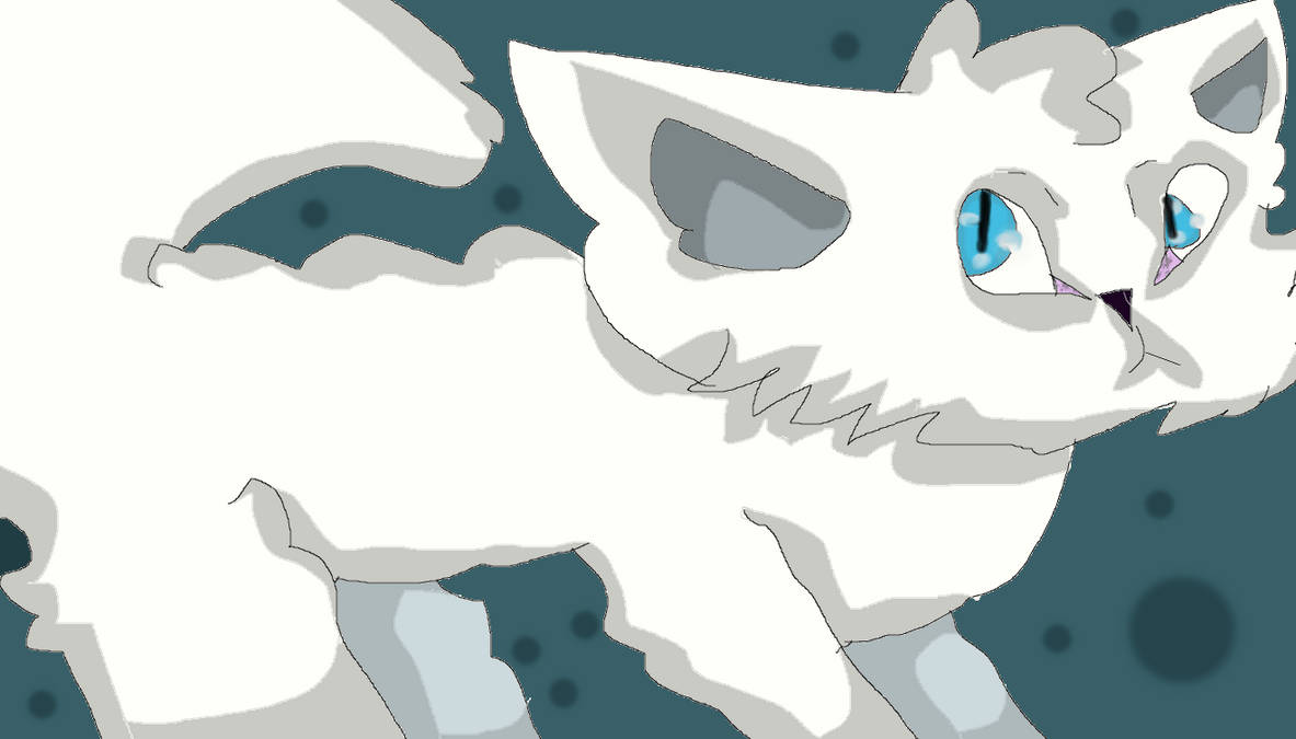 Cloudtail by UnderDawgz on DeviantArt