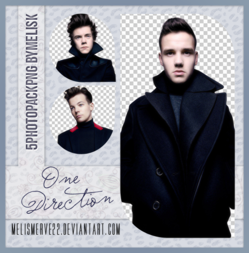 One Direction PNG Pack (40)