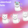 Americat Flele