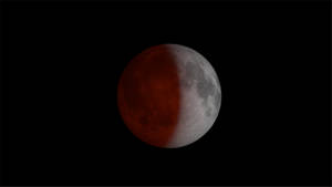 Flash Video - Lunar Eclipse