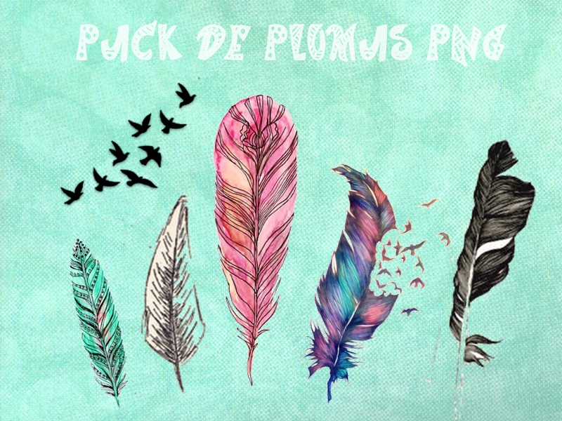 Pack De Plumas By Anahiodair On Deviantart
