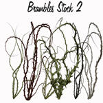 Brambles Stock 2