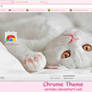 White kitten Google Chrome theme