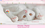 White kitten Google Chrome theme by AnitaLec