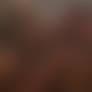 VIDEO - Sexy Shower Harem 5 Sample