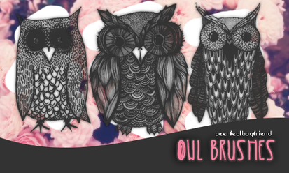 Owl Brushes/PS