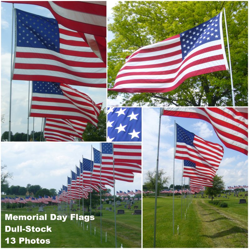 US Flags