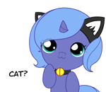 Woona is a Kitty Cat