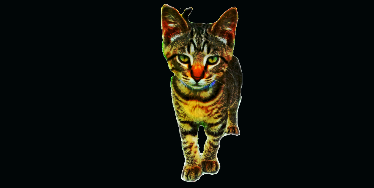 THE CAT 2 by holman123 on DeviantArt