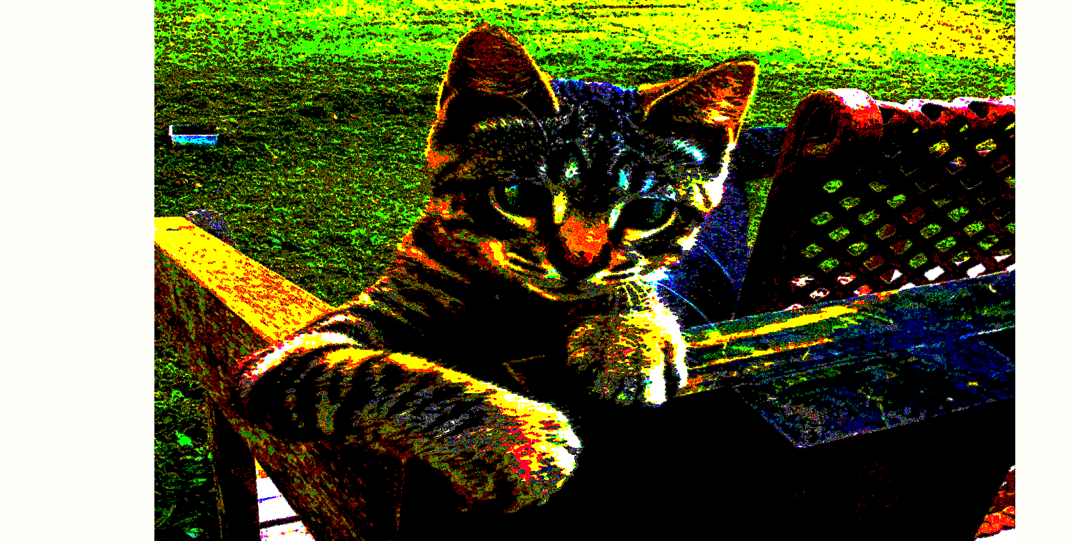 THE CAT-1 by holman123 on DeviantArt