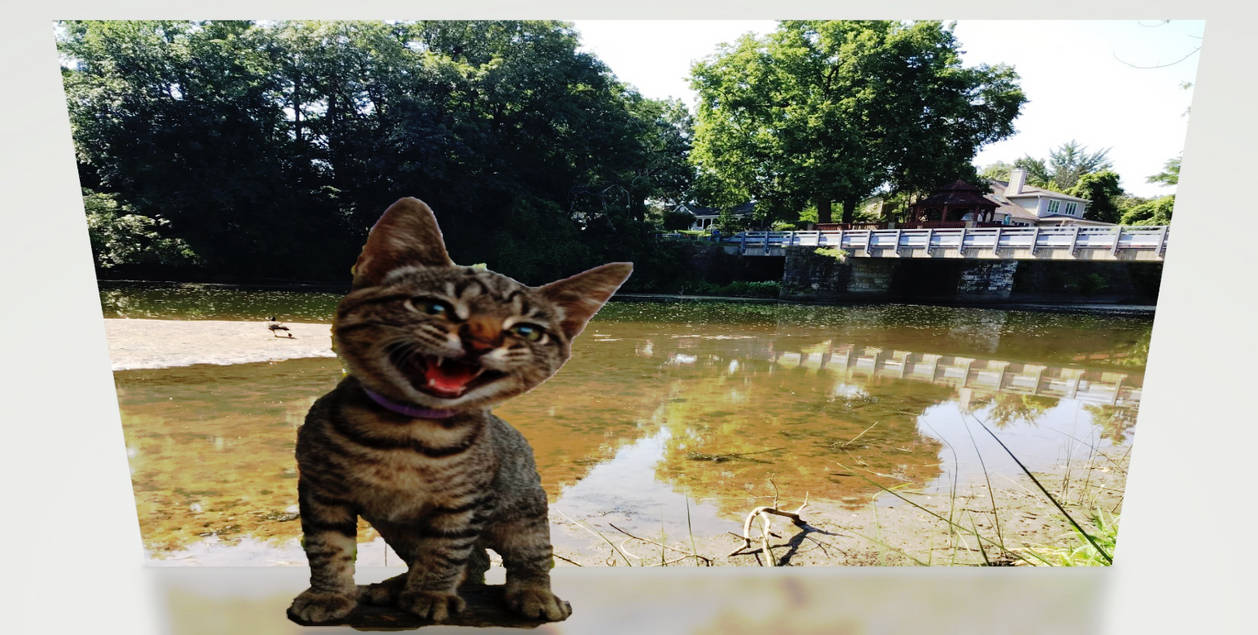 HAPPY KITTY IN PARK Drawing by holman123 on DeviantArt
