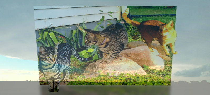 THE CATS-112121 by holman123 on DeviantArt