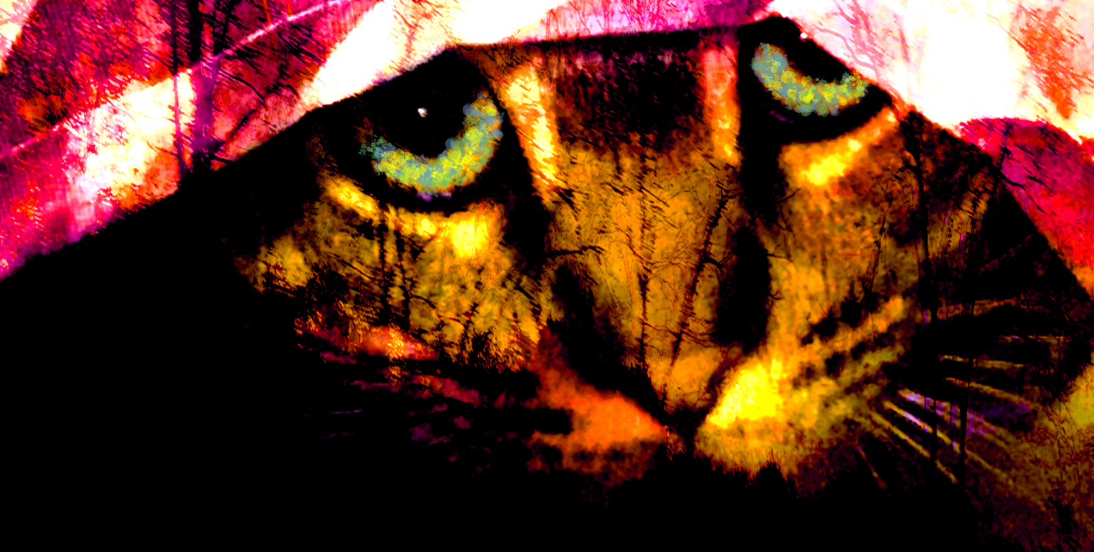 hiding kitty by holman123 on DeviantArt
