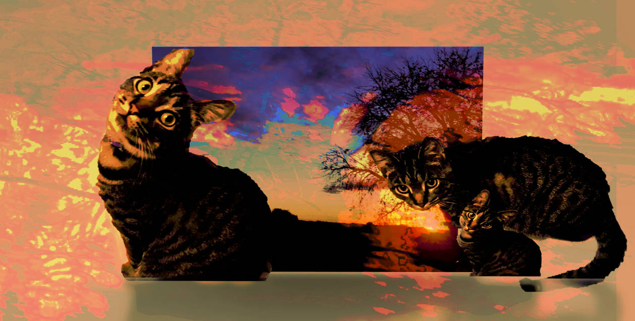 cat nip-kitty- by holman123 on DeviantArt