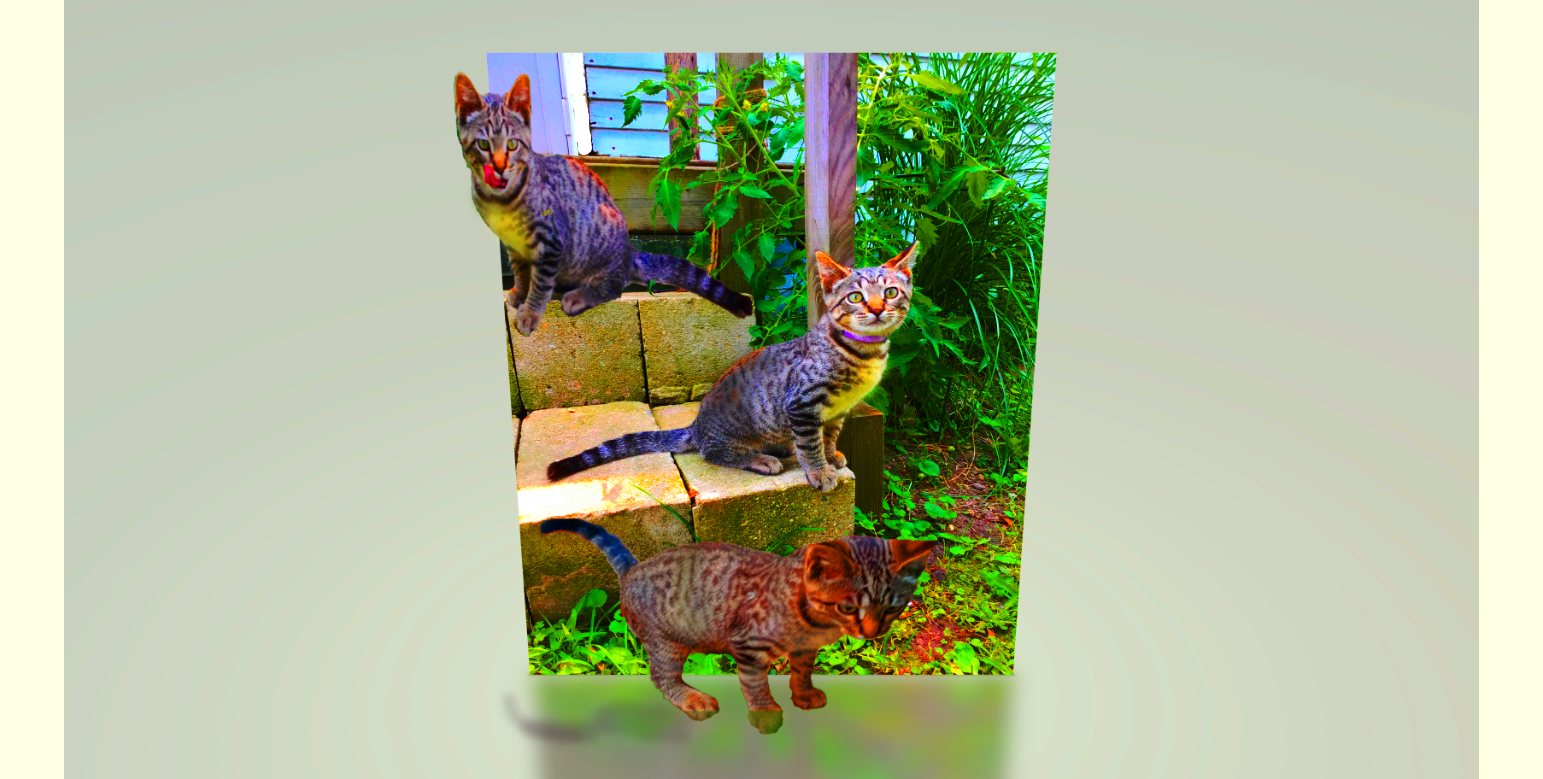 OUR- SPRING -KITTY-21 by holman123 on DeviantArt
