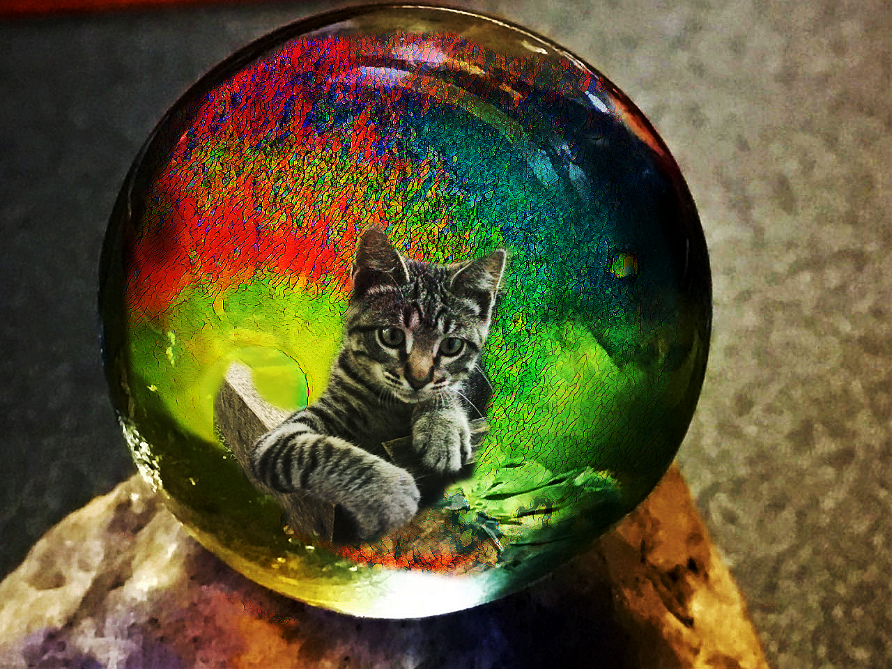 glassball-little kitty by holman123 on DeviantArt