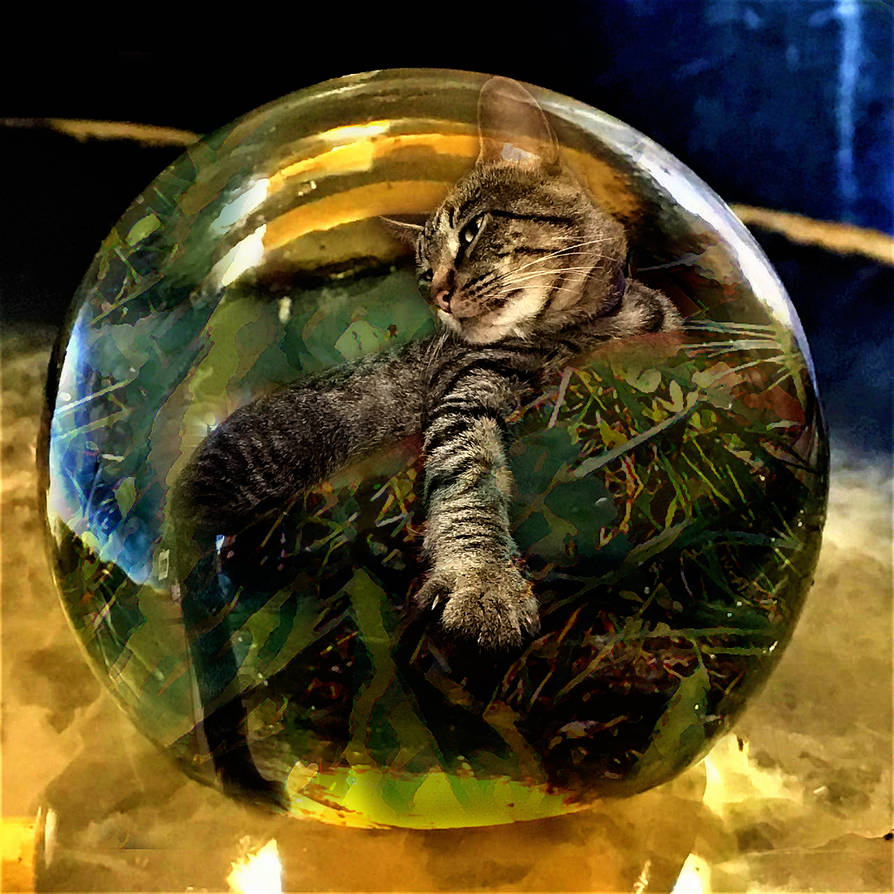 ARROW 665998 by holman123 on DeviantArt