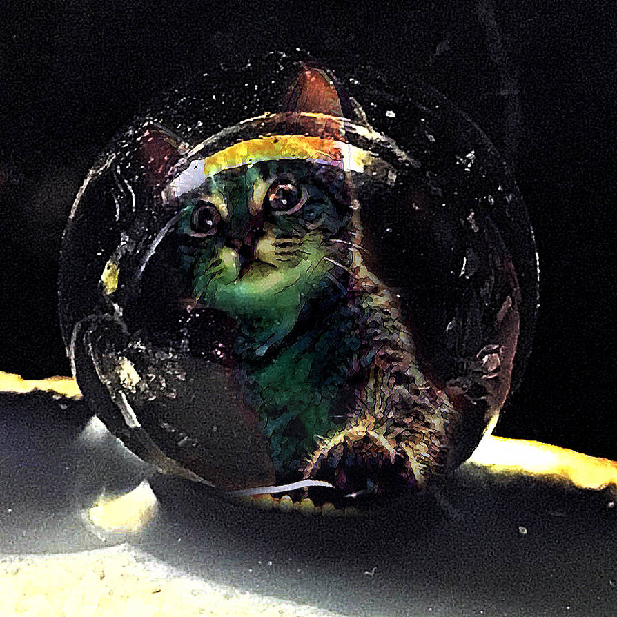 WET MARBLE-MISSY KITTY by holman123 on DeviantArt
