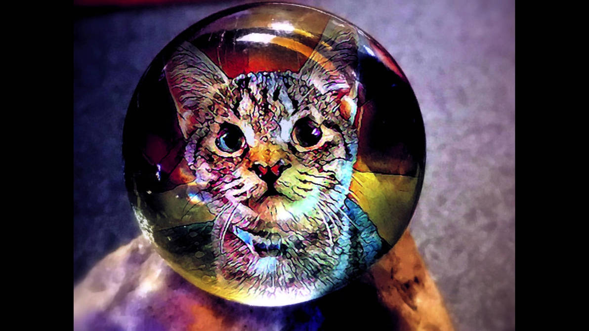 The Cats 24 by holman123 on DeviantArt